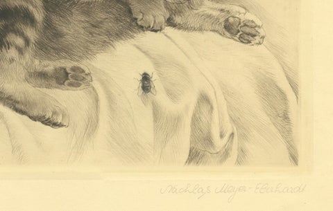 Charming Kitten Etching by Kurt Meyer-Eberhardt, Estate Edition 1977, close-up 3