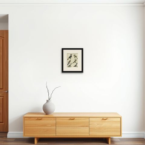 Antique Print of Various Birds Including the Aracari Toucan, shown framed on a wall