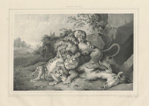 Raden Saleh Tigers & Lions Fight Horse Lithograph, The Hague c.1845, close-up 1