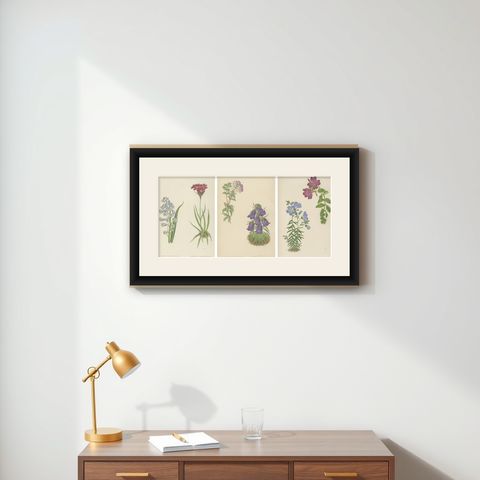Victorian Triptych of Alpine Flowers from Alpine Plants by David Wooster 1874, shown framed on a wall