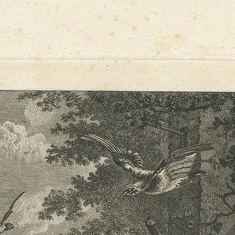 Antique Print of a River Landscape with a Fox and Birds by Le Brun (1792), close-up 1