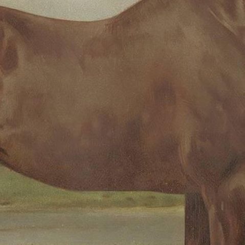 Antique Print of the Hackney Horse by O. Eerelman, 1898, close-up 2