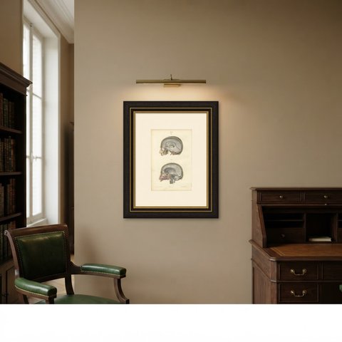 Median Sagittal Sections of the Head, Antique Hirschfeld Anatomy Print, 1866, shown framed in a room