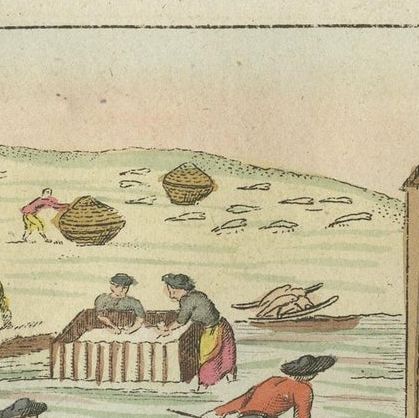Antique Fish Print of Whiting, Hake and Workers gutting and salting fish, close-up 1