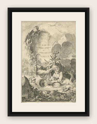 Allegorical Print of Lithology and Conchology by Boucher Fils, 18th Century, shown framed