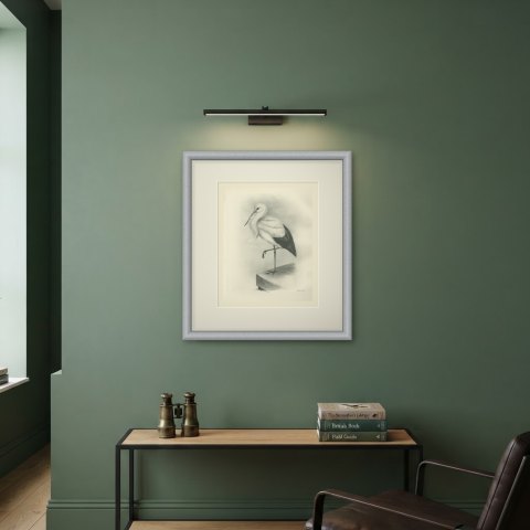 White Stork Standing on One Leg, Plate CLVI after Lilian Medland, c. 1909, shown framed on a wall