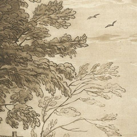 Rare Antique Print of a Landscape with Cattle, 1774, close-up 1