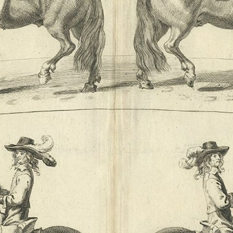 Decorative Antique Print of the Schooling of Horses in Galop, c.1740, close-up 4