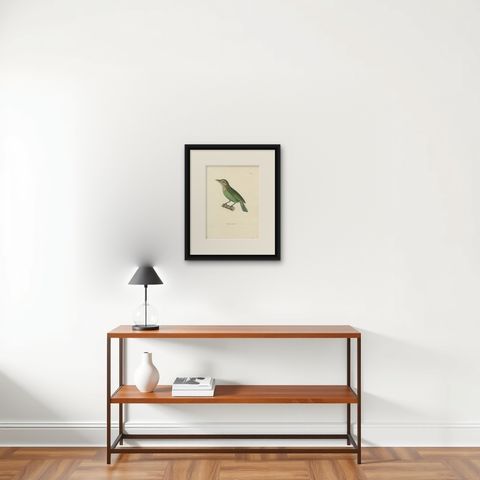19th Century Ornithological Illustration of the Streaked Barbet (Barbu grivelé), shown framed on a wall