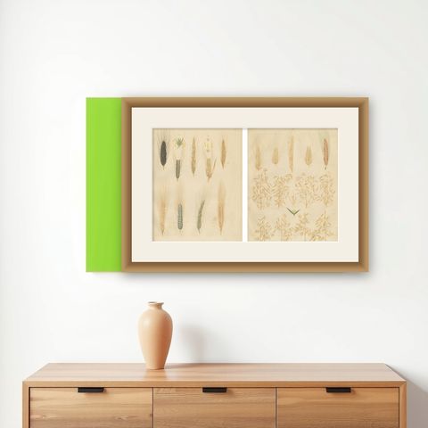 Antique Wheat and Rye Botanical Prints, Agricultural Study, Germany 1852, shown framed on a wall