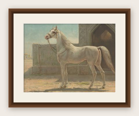 Antique Print of a Persian Horse by O. Eerelman, 1898, shown framed