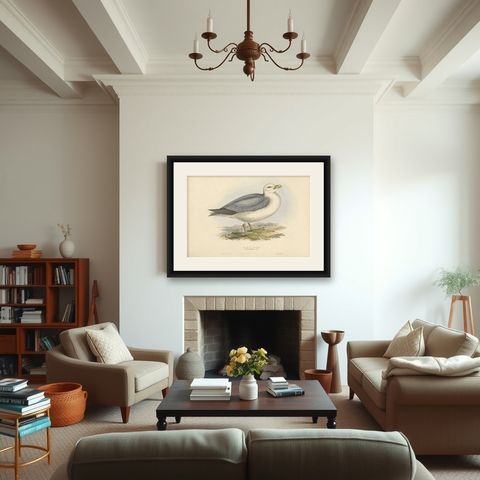 Fulmar Petrel, Antique Seabird Lithograph by John Gould, c.1832, shown framed in a room