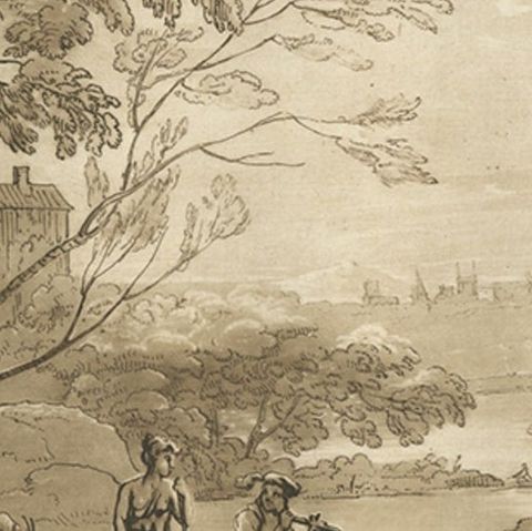 Rare Antique Print of a Landscape with Cattle, 1774, close-up 2