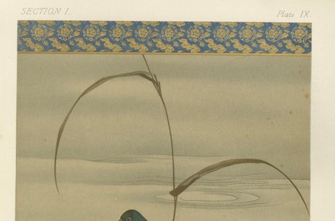 Antique Japanese Waterfowl Print: Tranquil Duck in Reeds, 19th Century, close-up 1
