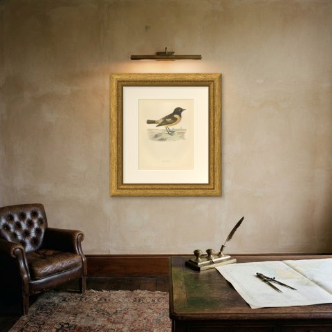 Stonechat on a Low Mound with Distant Trees, Antique Bird Print, Morris, 1896, shown framed on a wall