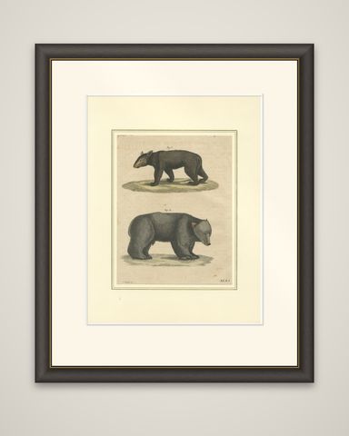 Antique Tapir & Bear Zoological Engraving, Bertuch, c. 1800, shown framed