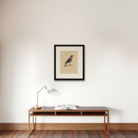 Antique Bird Print of a Rufous-Collared Thrush by Severeyns 'c.1850', shown framed on a wall