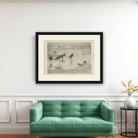 Antique Bird Print of Birds on the Seashore Made After A. Thorburn, 1896, shown framed on a wall
