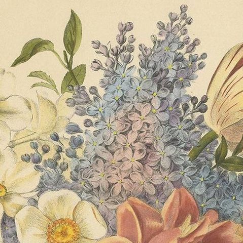 Antique Print of a Flower Bouquet by Villain, circa 1850, close-up 1