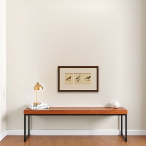 Nordic Harriers Triptych, Swedish Lithographs, Scandinavian Birds of Prey 1929, shown framed on a wall