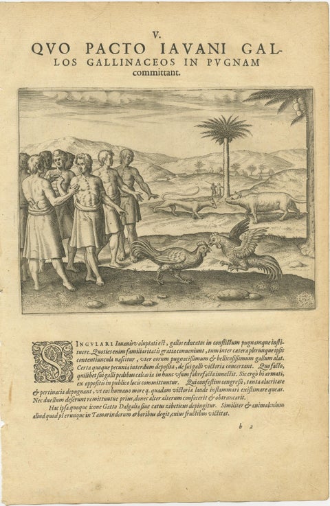 De Bry’s India and East Indies, Cockfights, Sacred Trees & Exotic Animals, 1598, view 2