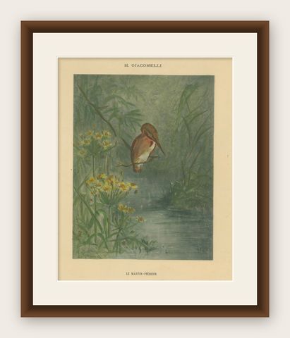Kingfisher by the Water's Edge - Giacomelli’s Tranquil Nature Scene, Circa 1891, shown framed