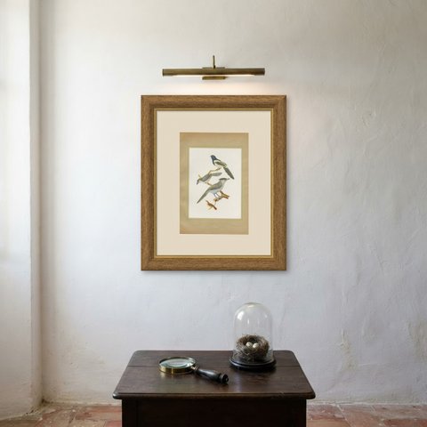 Cuckoos and Anis, Brazilian Bird Print, Descourtilz, 1944, shown framed on a wall
