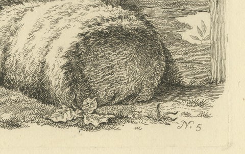 Etching of Three Sheep Resting by Fence: Farm Animal Study, by Oberman in 1810, close-up 2