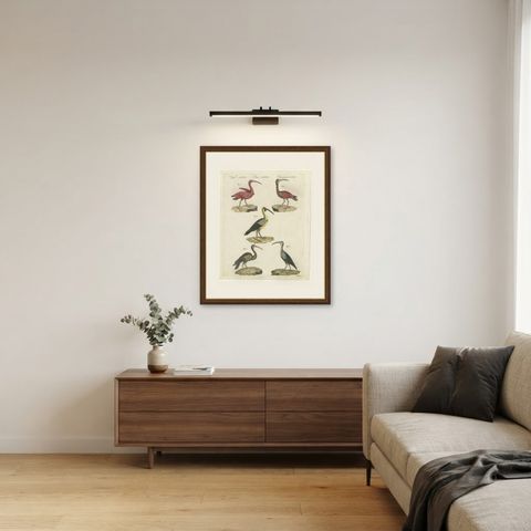 Scarlet Ibis and Other Ibises, Antique Bertuch Print, Vienna, circa 1812, shown framed in a room