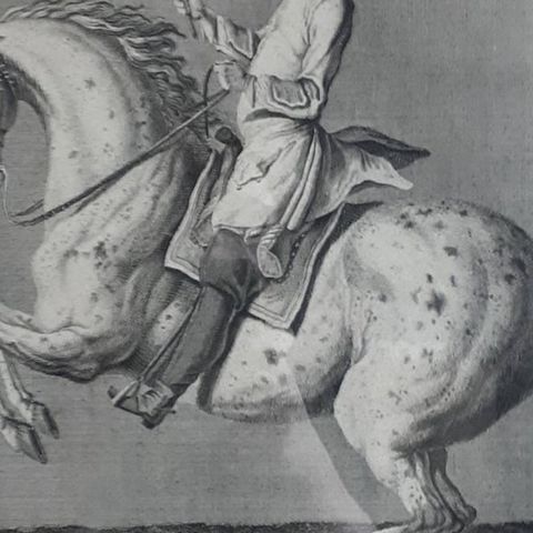 Antique Horse Print 'Croupade' by J. E. Ridinger, circa 1750, close-up 2