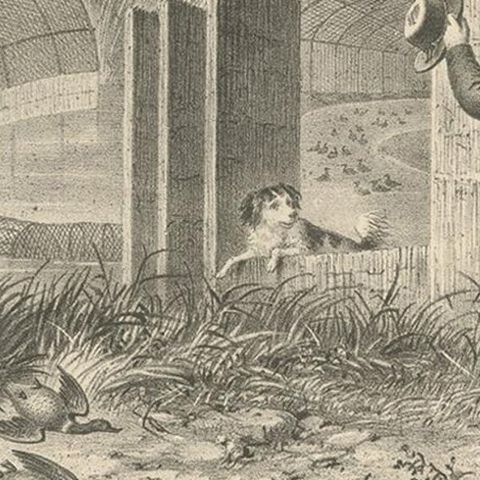 Antique Print of a Lincolnshire Duck Decoy Made after Lubbock 'c.1860', close-up 2