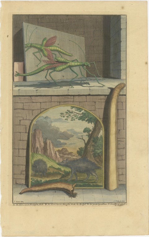 Colored Antique Print of a Grasshopper, Hedgehogs and the Horn of Doe, view 2