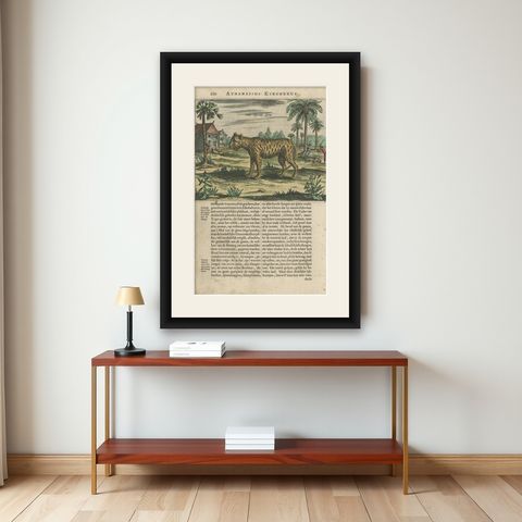 Antique Print of a Tiger by A. Kircher, circa 1660, shown framed on a wall
