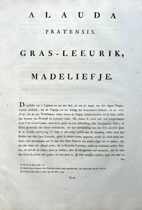 Meadow Pipit Bird Print, Alauda Pratensis from Nederlandsche Vogelen, 1809, view 10