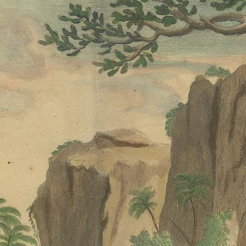 Colored Antique Print of a Cuscus, Lippano and other Animals, close-up 1