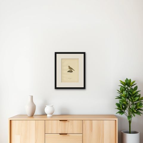 Antique Bird Print of the Corn Bunting by Von Wright, 1927, shown framed on a wall
