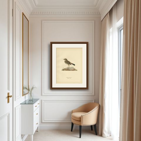 Antique Bird Print of the Bluethroat by Von Wright, 1927, shown framed in a room