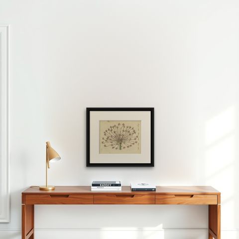 Brunsvigia Candelabra Lily Flower Head, Antique Bertuch Print, circa 1815, shown framed on a wall
