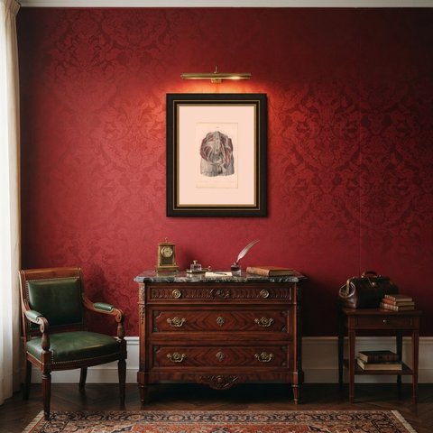 The Lumbar Plexus and the Groin, Antique Hirschfeld Anatomy Print, 1866, shown framed in a room