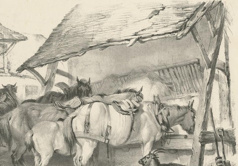 19th Century Antique Print of Horses and a Goat by Cooper, 1839, view 4