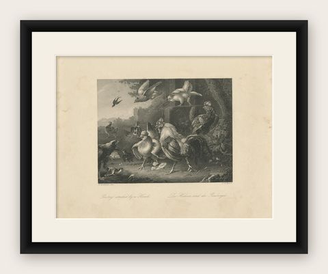 Antique Print of Poultry Attacked by a Hawk by Payne 'c.1860', shown framed