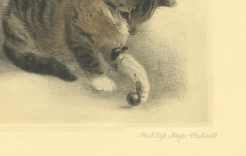 Kitten Playing with a Marble, Etching by Kurt Meyer-Eberhardt, 1977 Estate, close-up 2