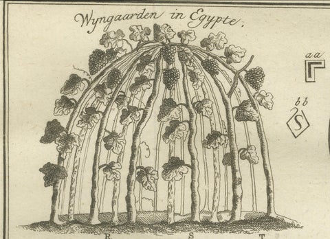 Egyptian Dress, Jewelry & Camel Transport, Antique Print of Egypt, 18th c., close-up 3