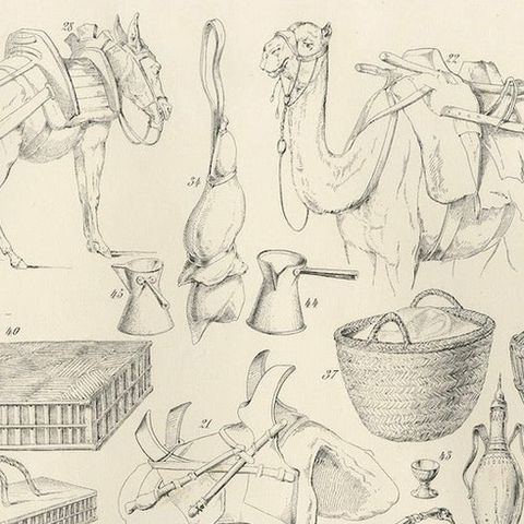 Antique Camel & Caravan Equipment Studies from Maximilian in Bavaria, 1846, close-up 4