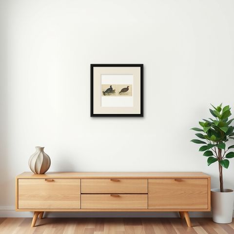 Set of 2 Antique Prints of a Black Grouse and Red Grouse, shown framed on a wall
