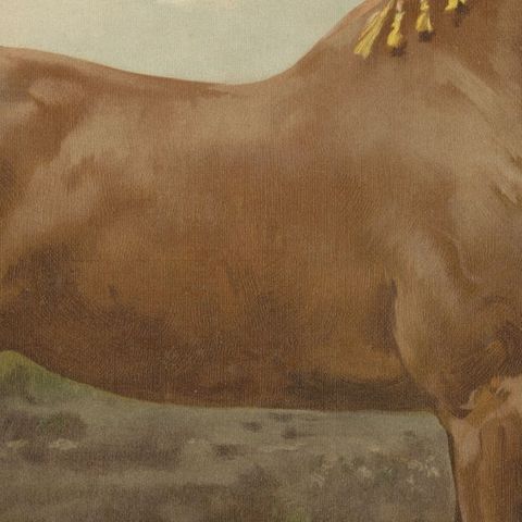 Antique Dutch Gelderland Horse Print by Otto Eerelman, 1898, close-up 2