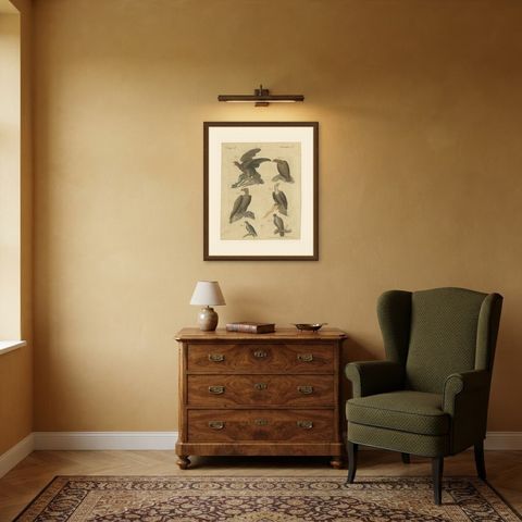 Eagles including the Bald Eagle, Antique Bertuch Print, circa 1805, shown framed in a room
