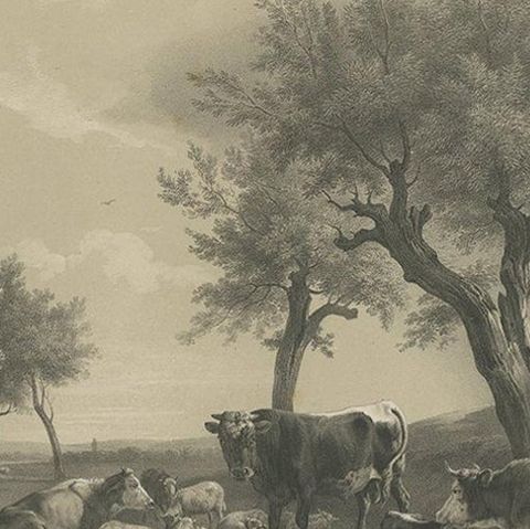 Antique Print of a Pasture with Cattle by Neumann 'c.1860', close-up 2