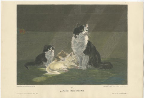 Set of 6 Original Antique Cat Prints made after paintings, circa 1898, view 3