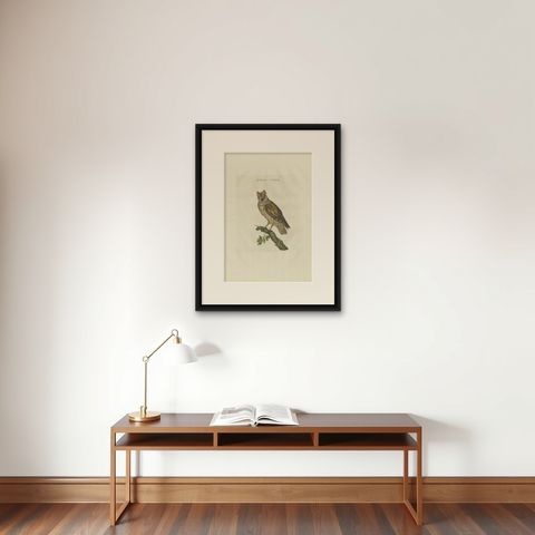 Antique Bird Print of the Eurasian Scops Owl by Sepp & Nozeman, 1809, shown framed on a wall